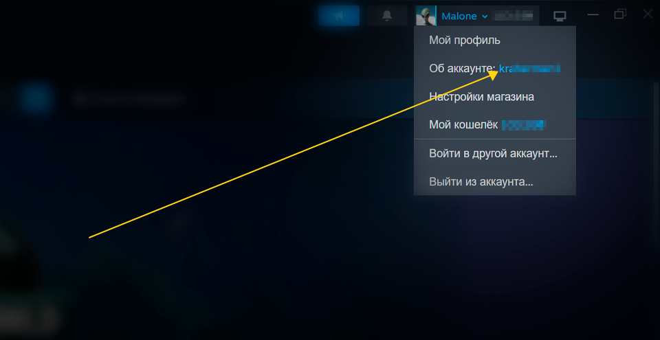Где посмотреть логин в Steam